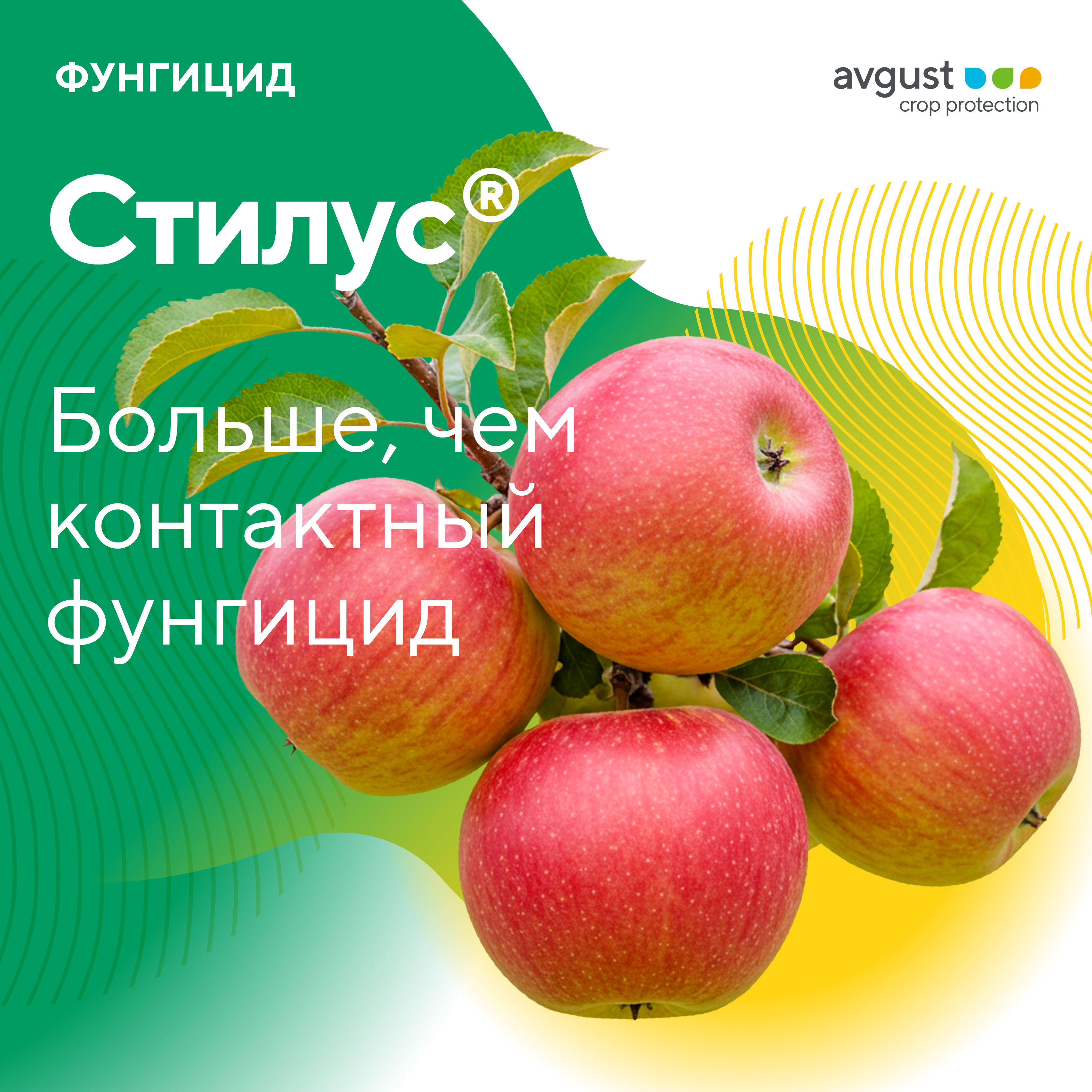 Пост 15.06.2026