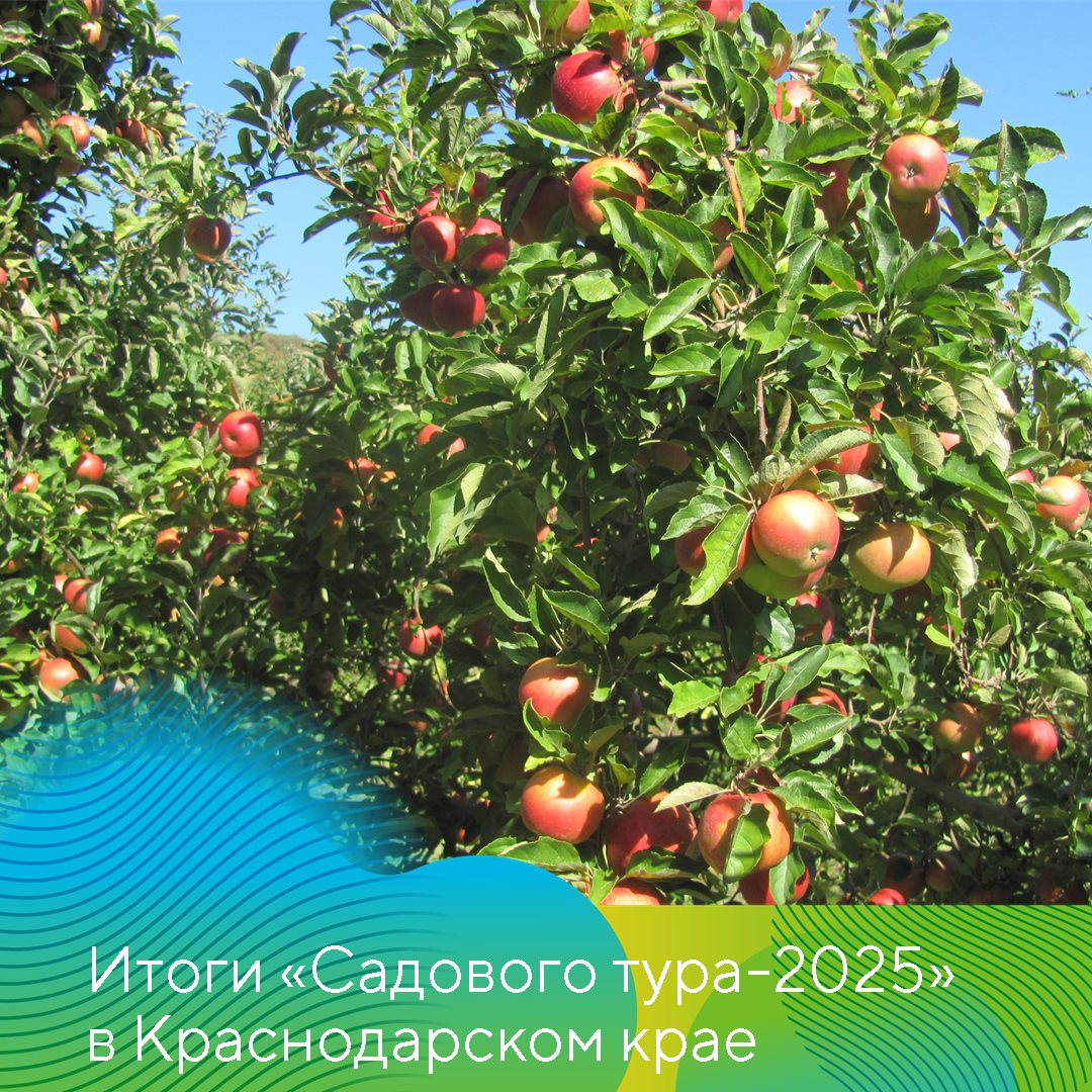 Пост 17.10.2025