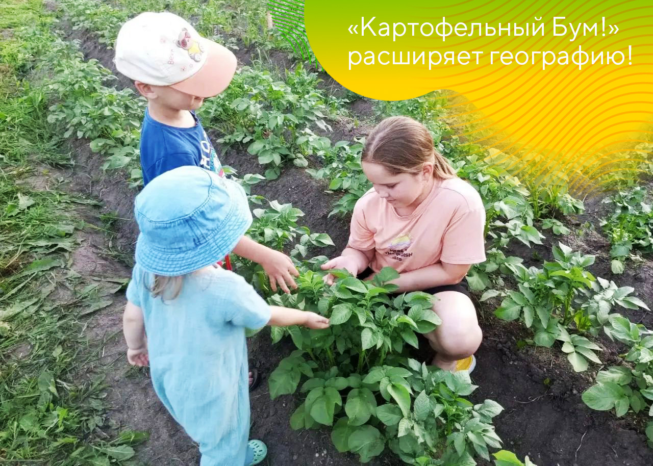 Пост 30.10.2026