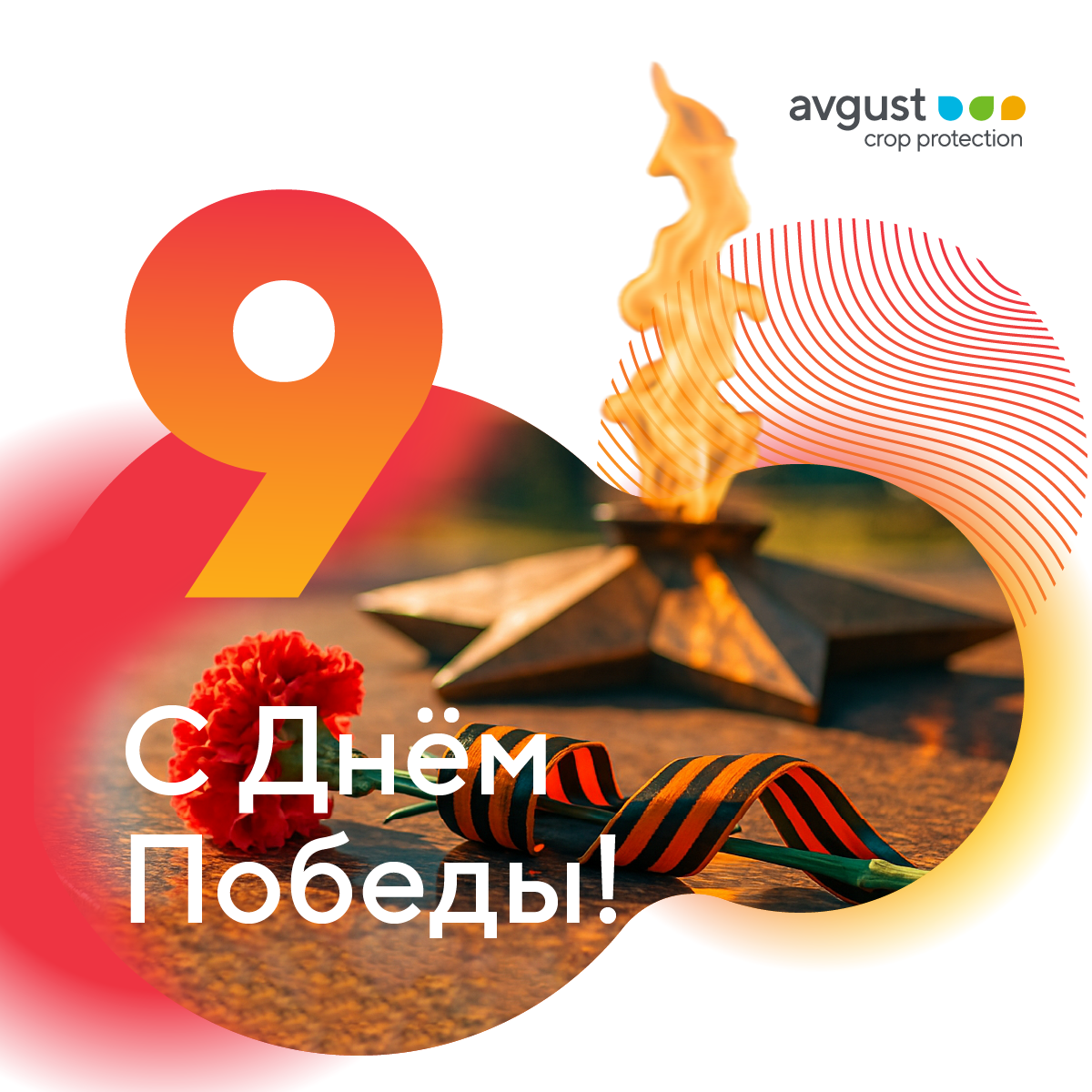 Пост 9.05.2026