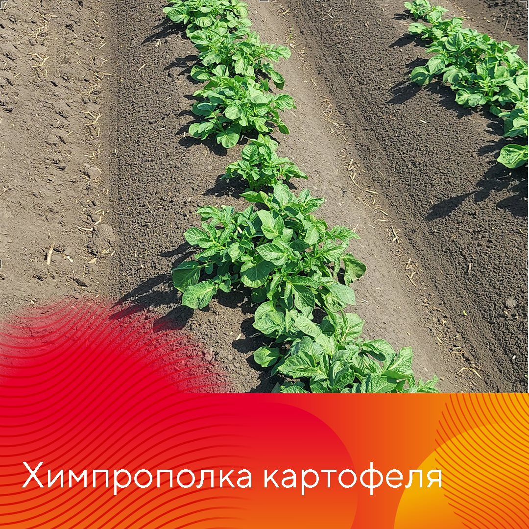Пост 7.05.2025