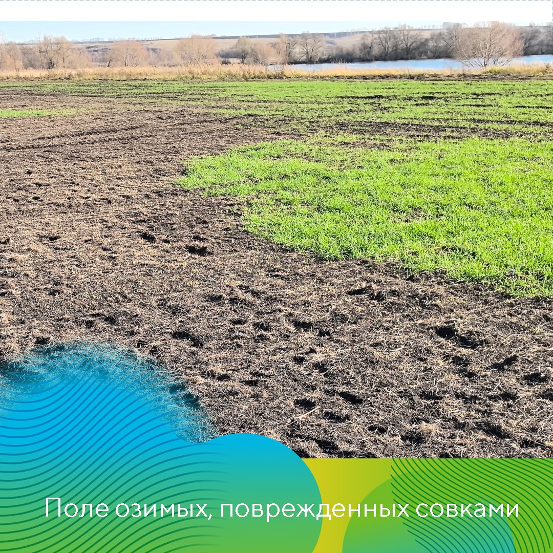 Пост 24.09.2026
