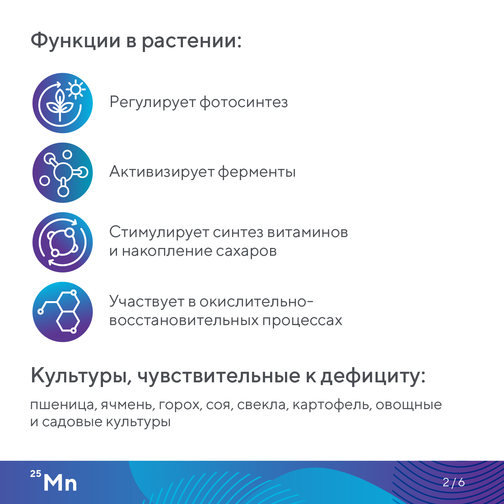 Пост 25.09.2026