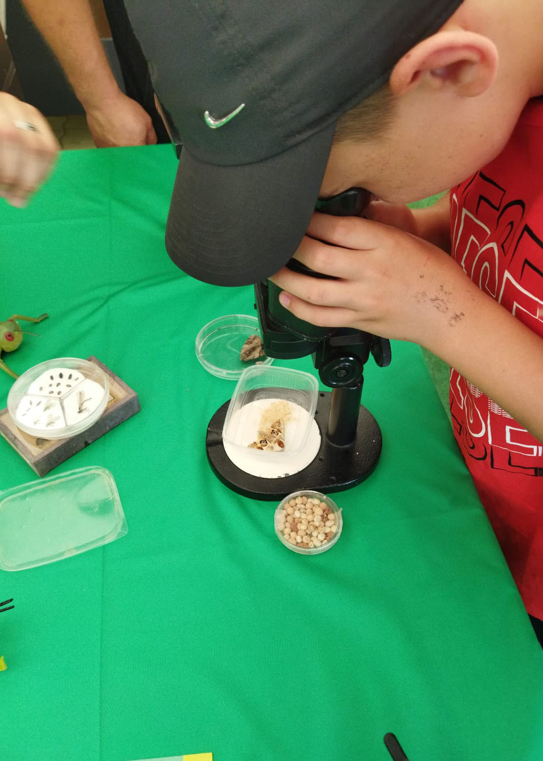 Пост 30.07.2025.1