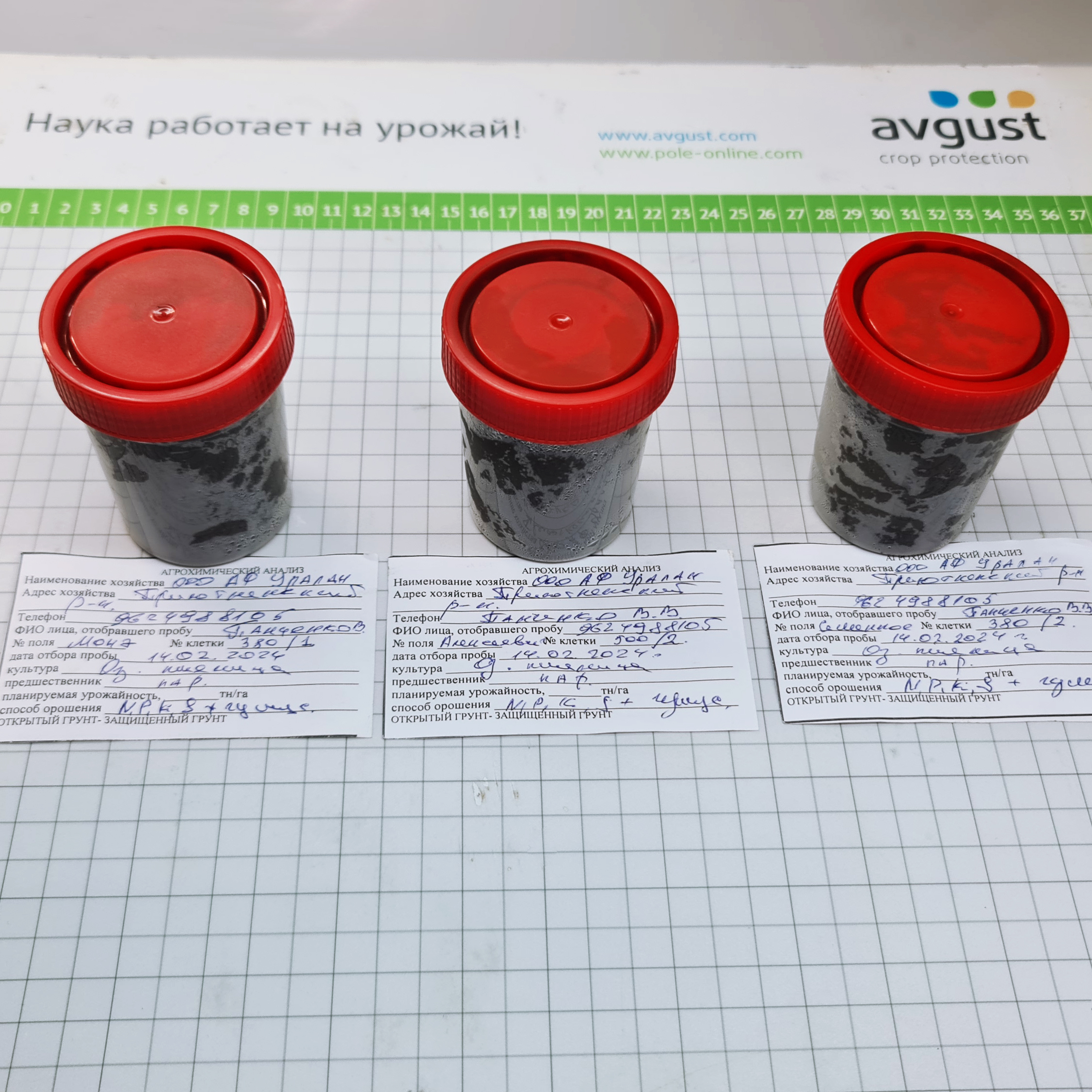 Ранневессеннее обследование полей