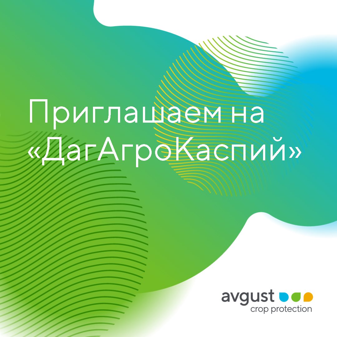 Пост 19.02.2025.1