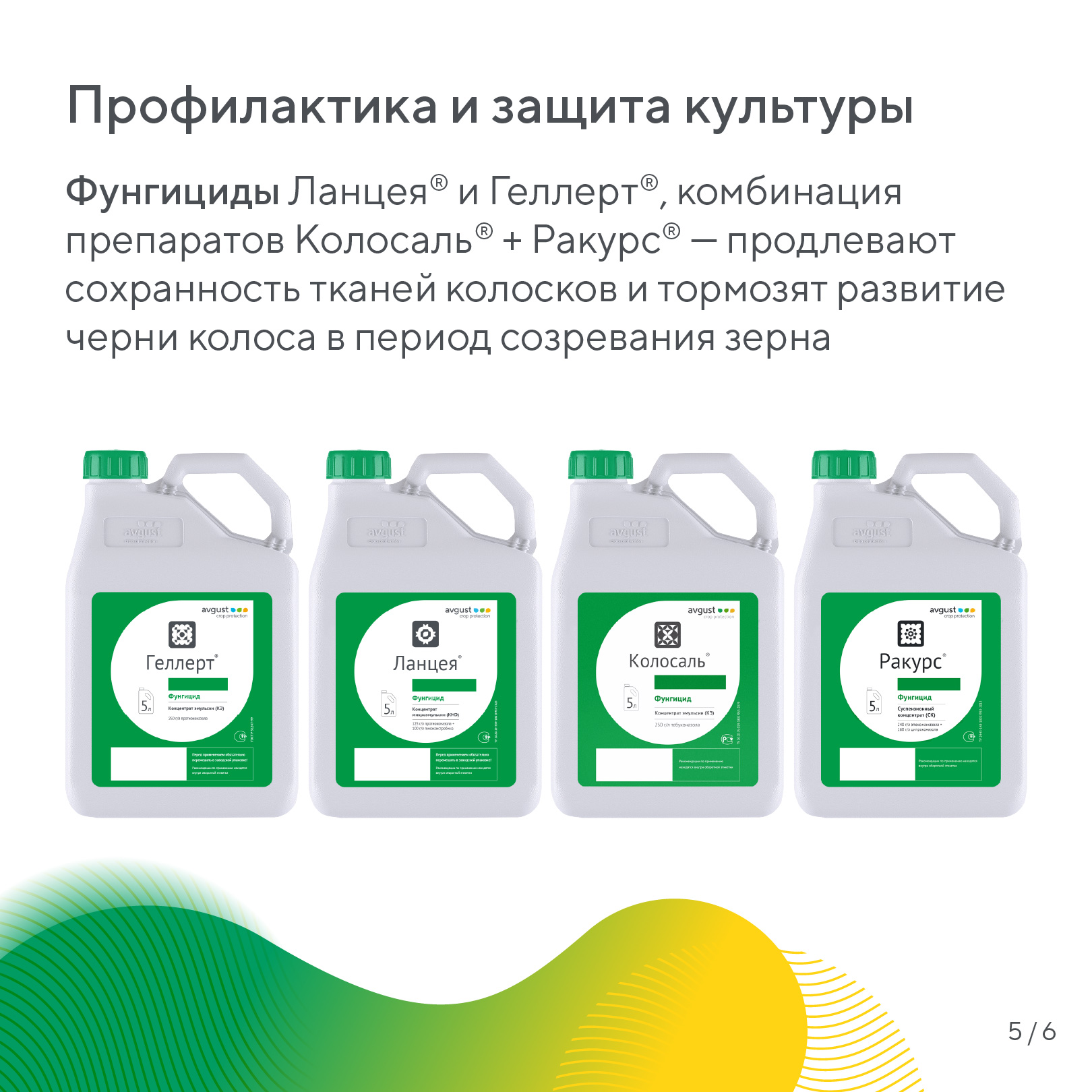 Пост 14.10.2026