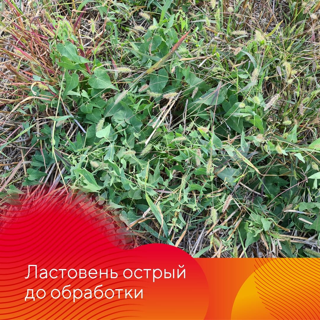 Менеджер-технолог представительства «Августа» в Ставрополе Владислав Панченко сентябрь 2022