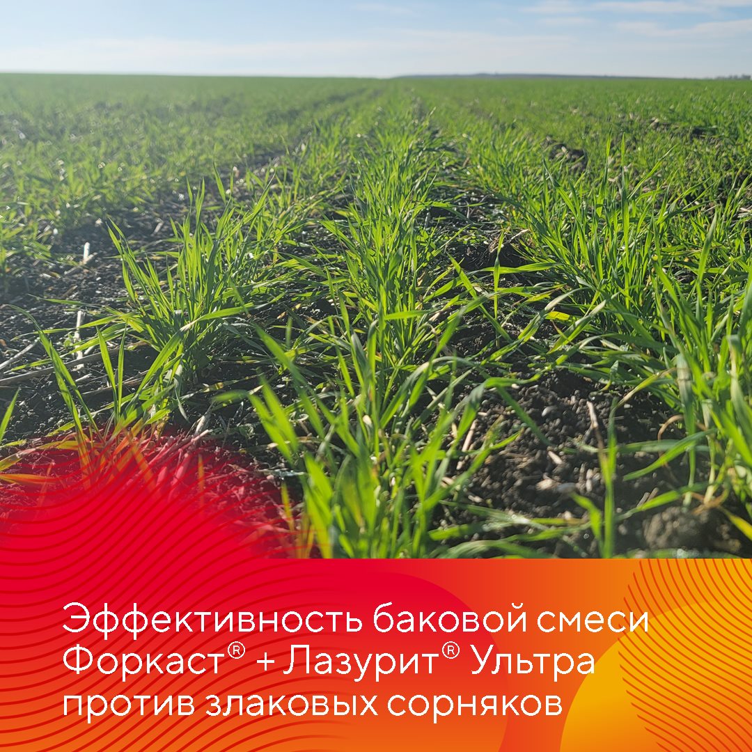 Пост 17.09.2026