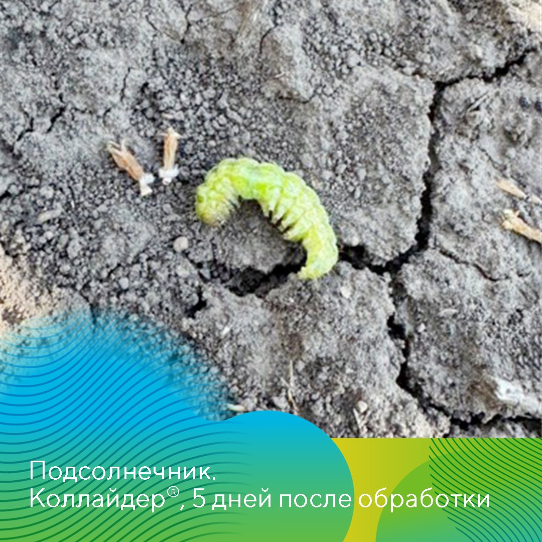 Пост 21.05.2026