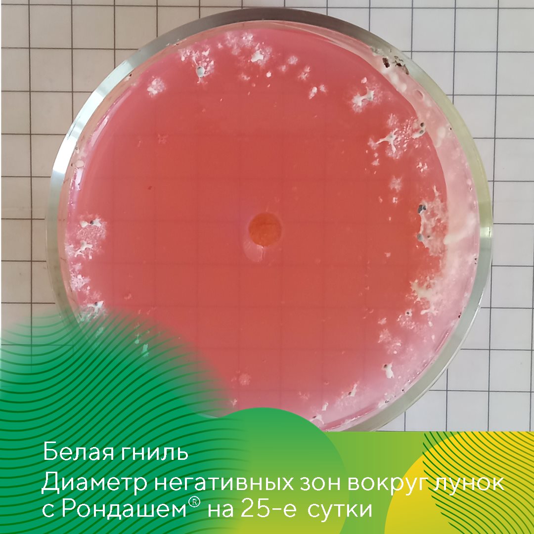Пост 3.07.2026