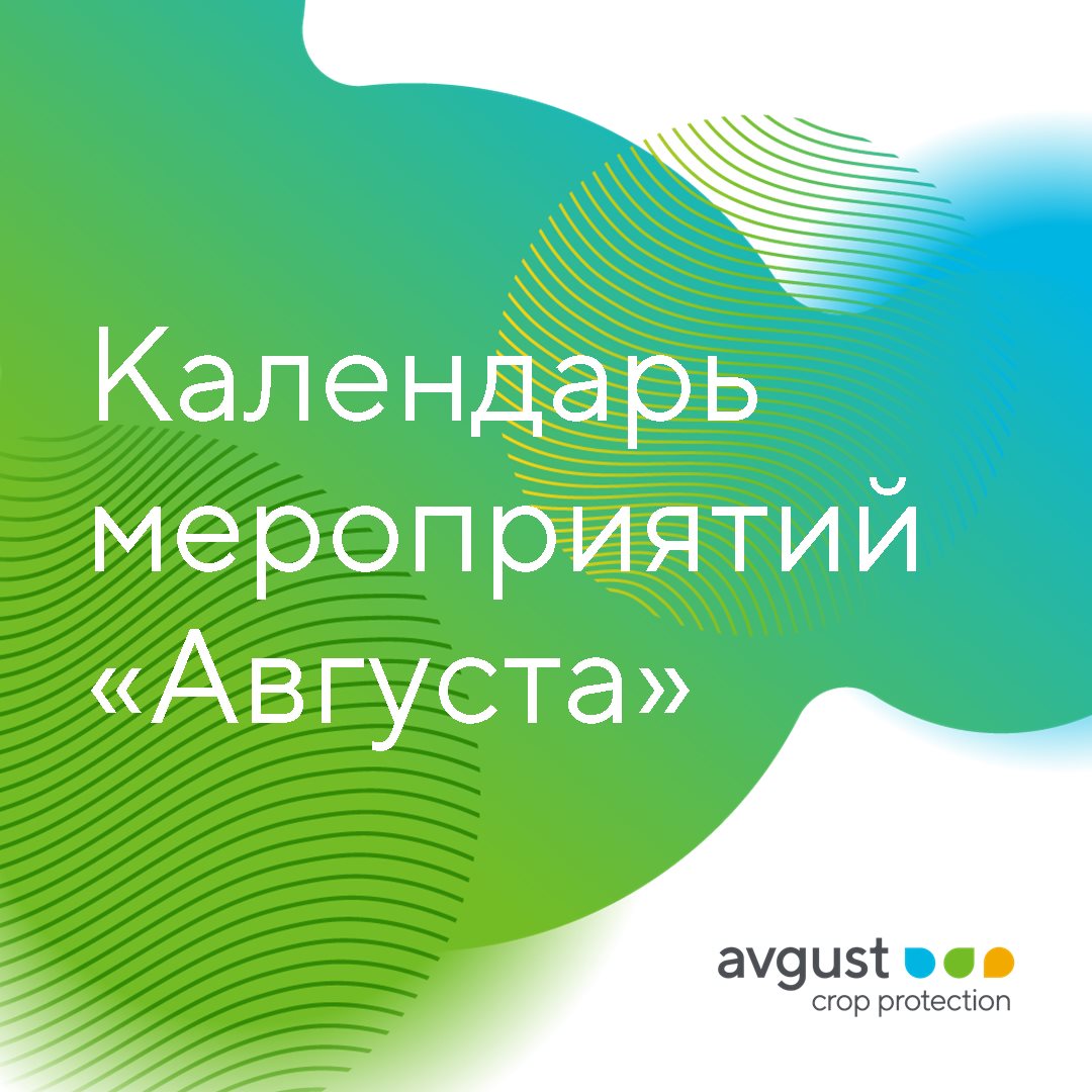 Блог компании Avgust