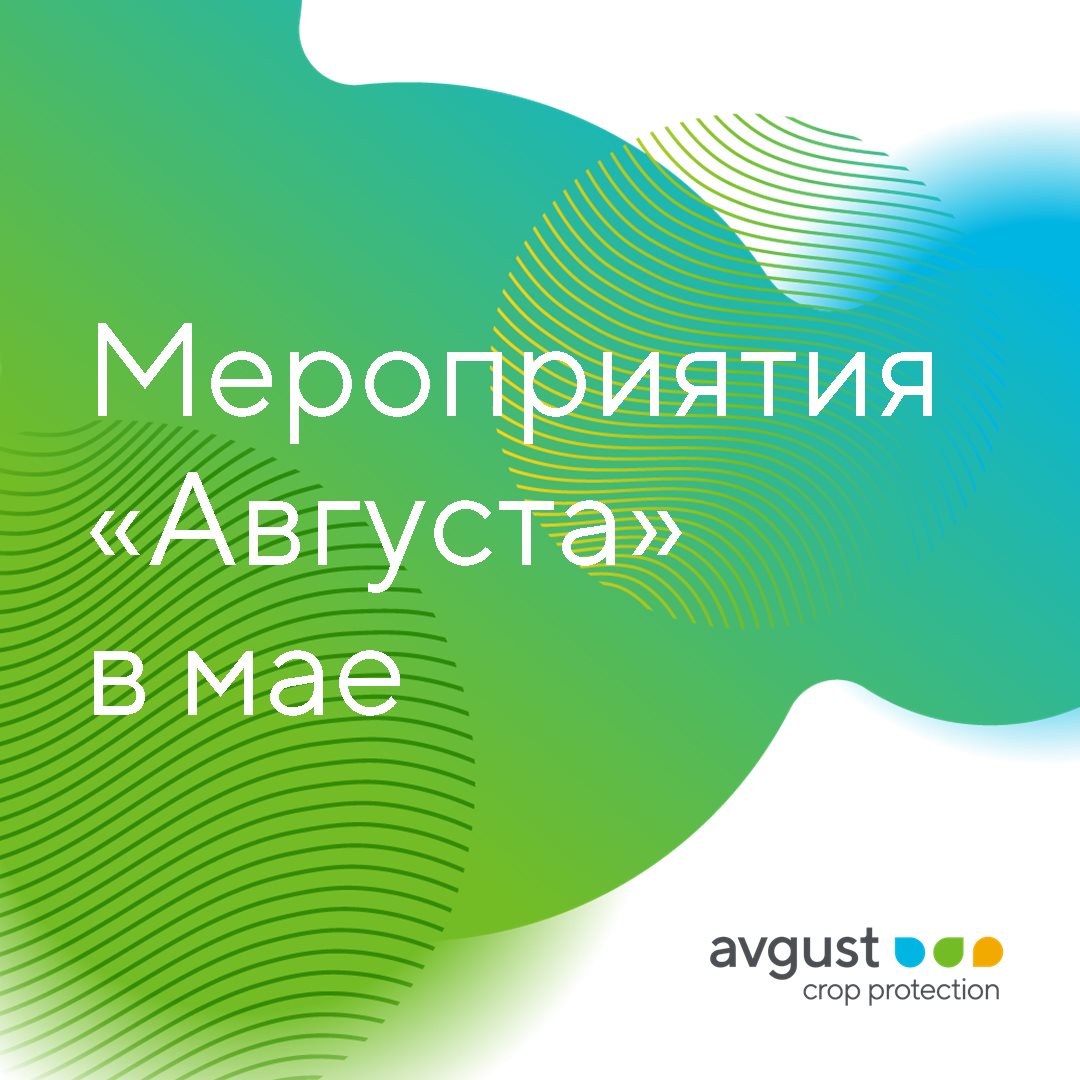 Блог компании Avgust