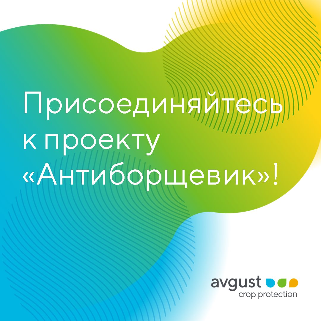 Пост 18.06.2025