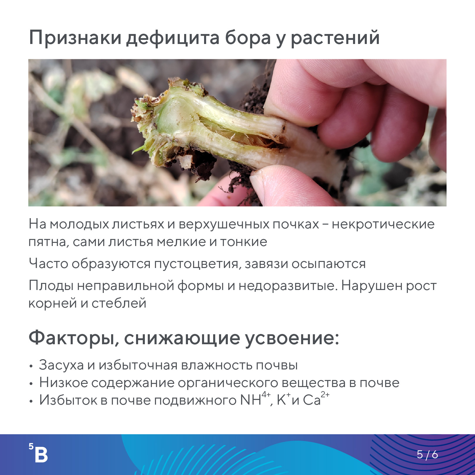 Пост 21.08.2026