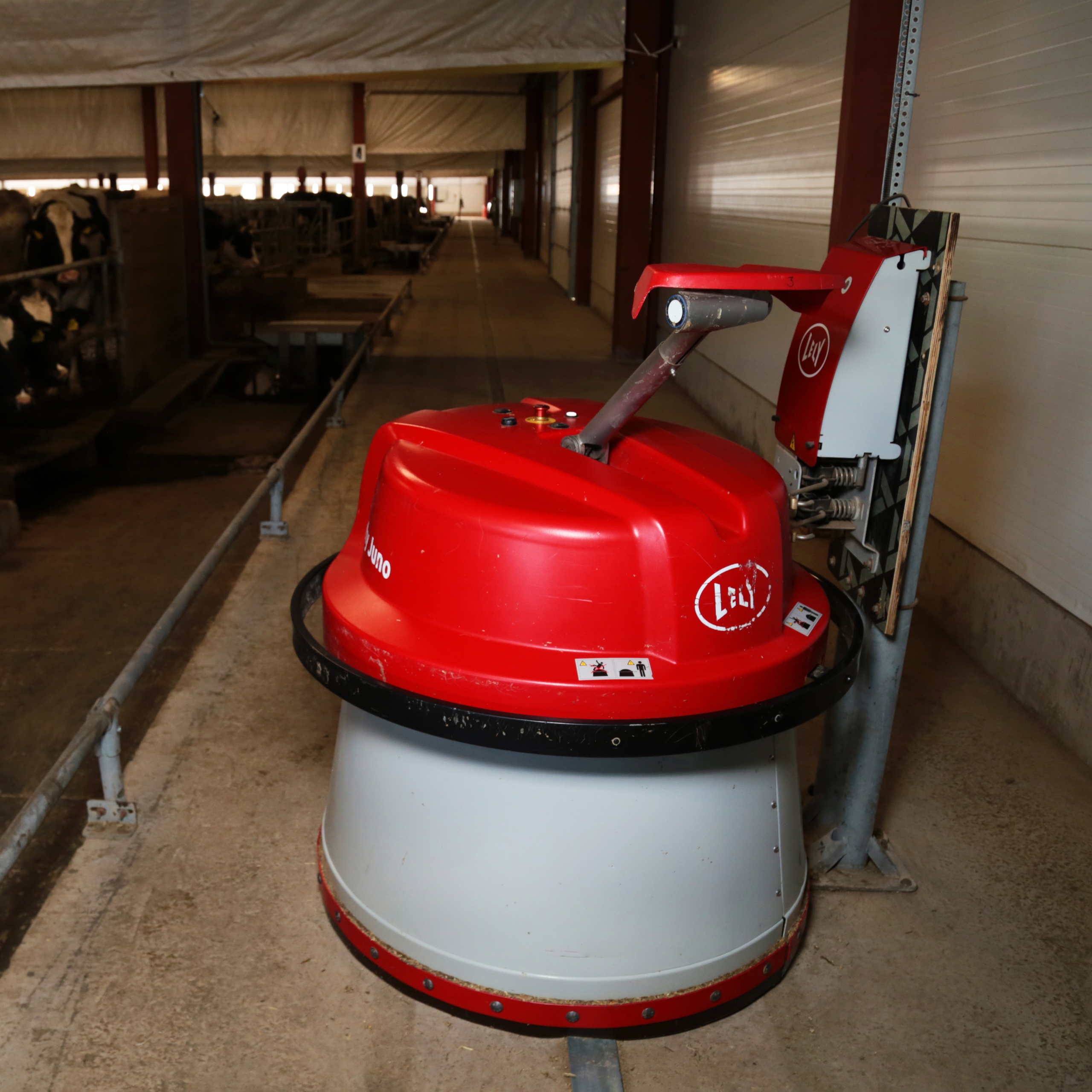 Новые фермы «Августа»