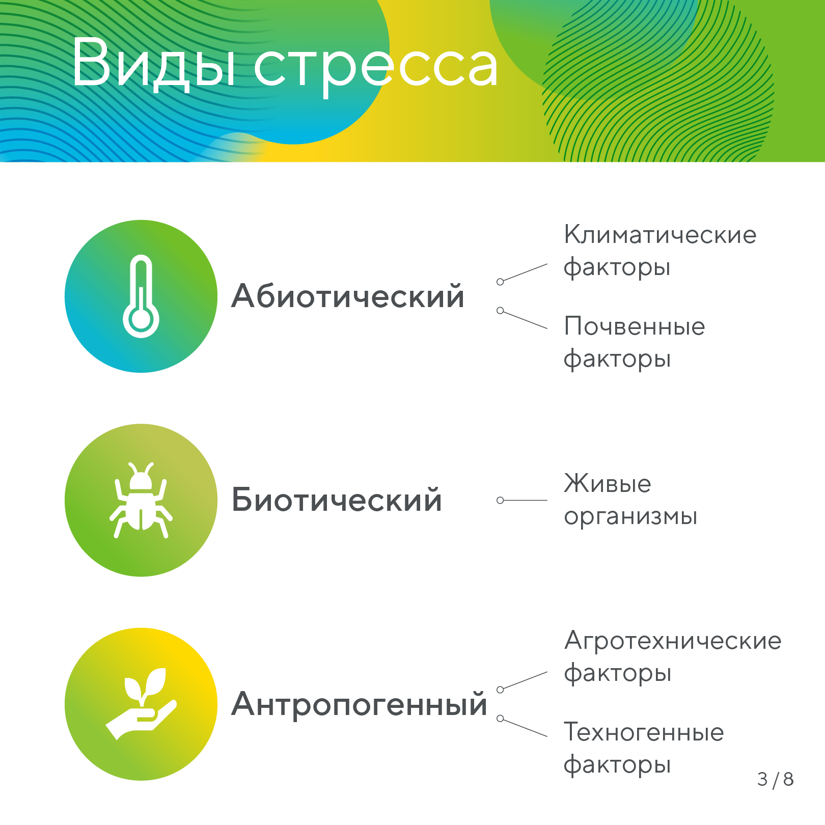 Пост 20.01.2026.1