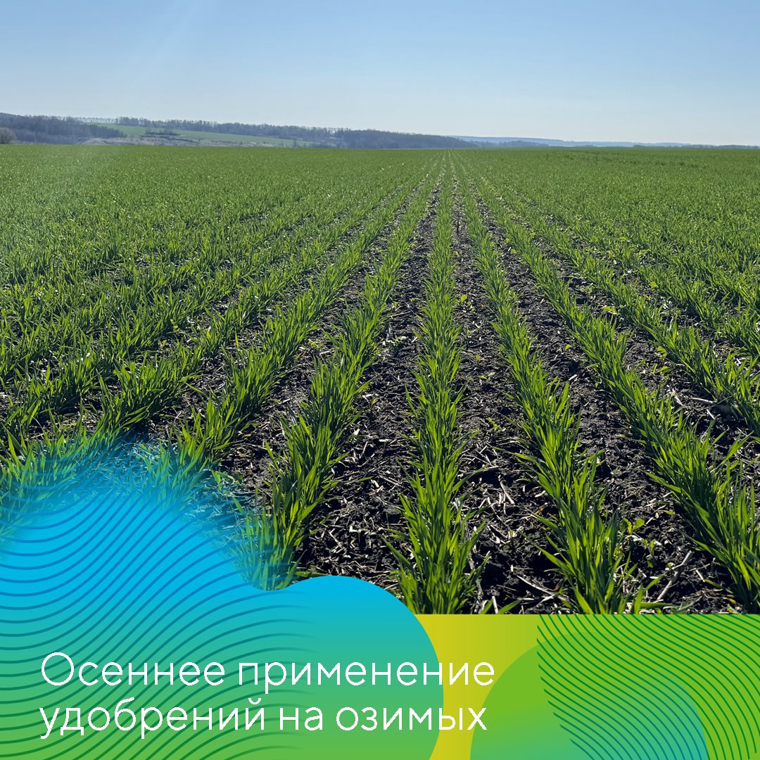 Пост 30.09.2025