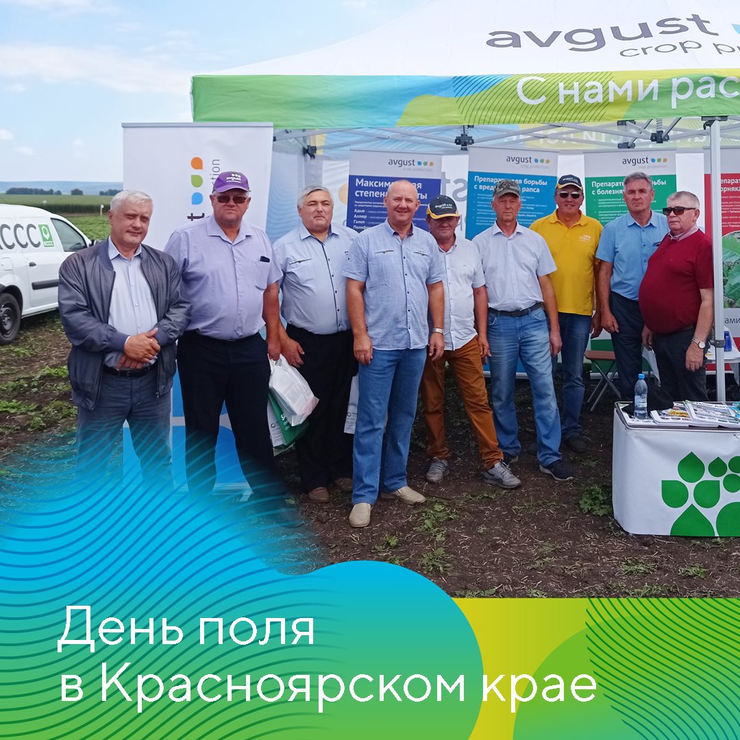 День поля красноярск 2022. Семеноводство. Сельское хозяйство в красноярском крае. Торговый дом кирово-чепецкая химическая компания. День поля в красноярском крае.