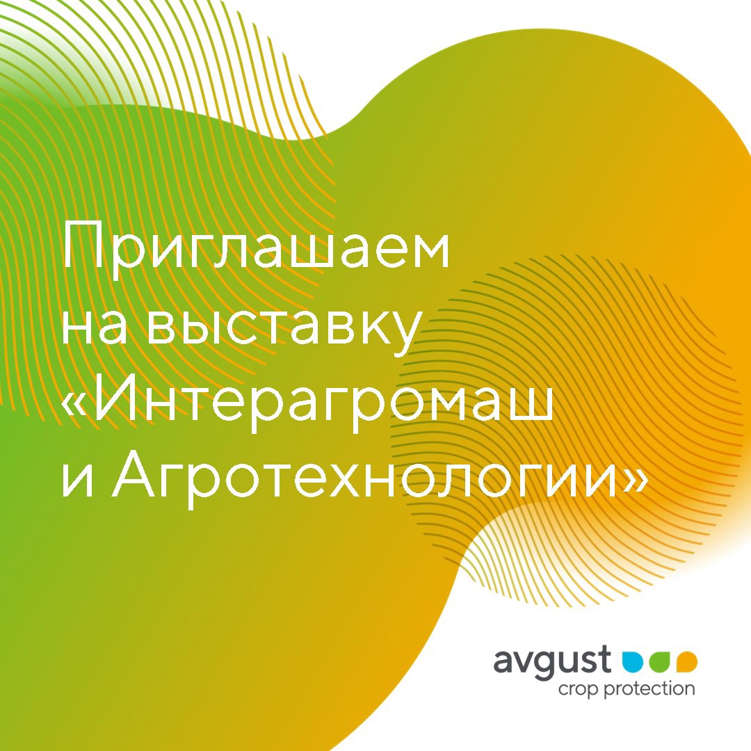 Блог компании Avgust