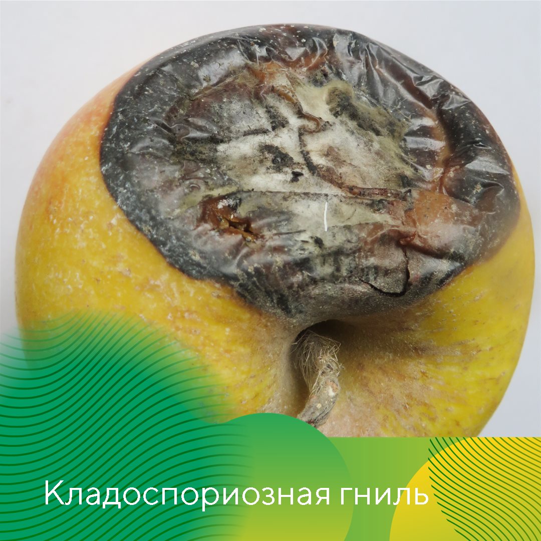 Пост 5.08.2026