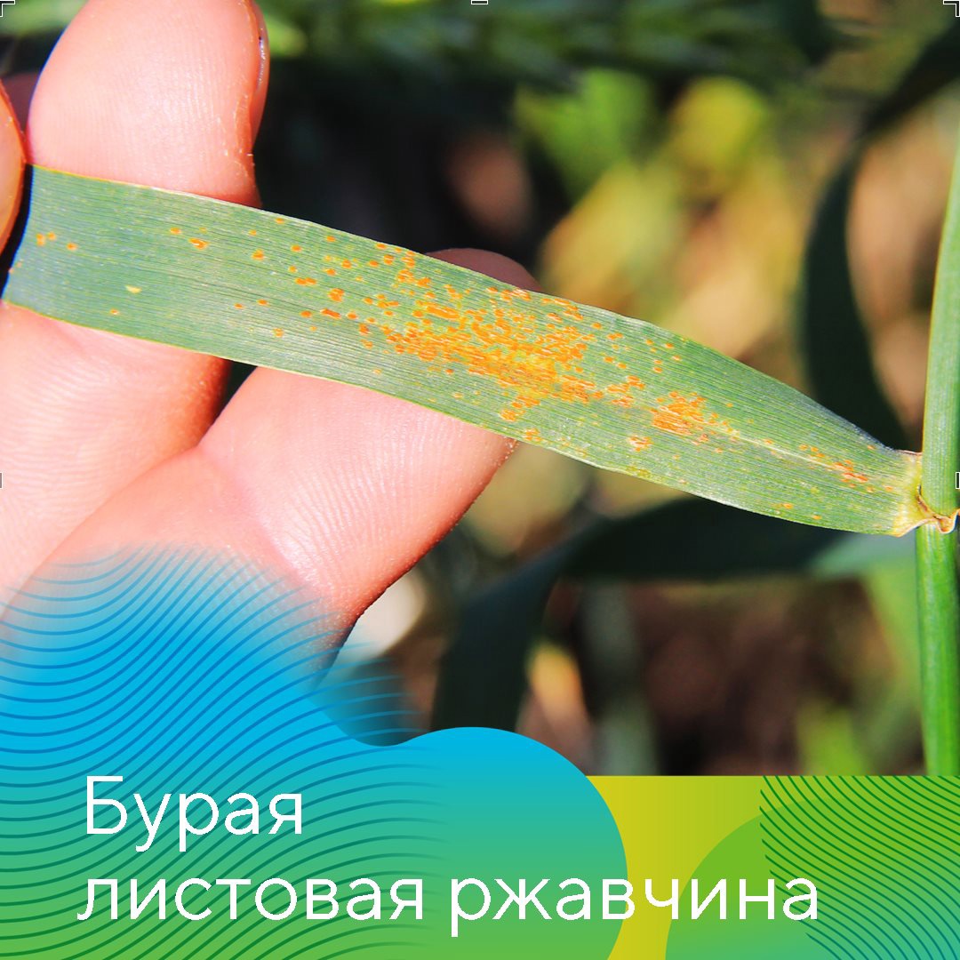 Главные проблемы сезона-2021 в Татарстане