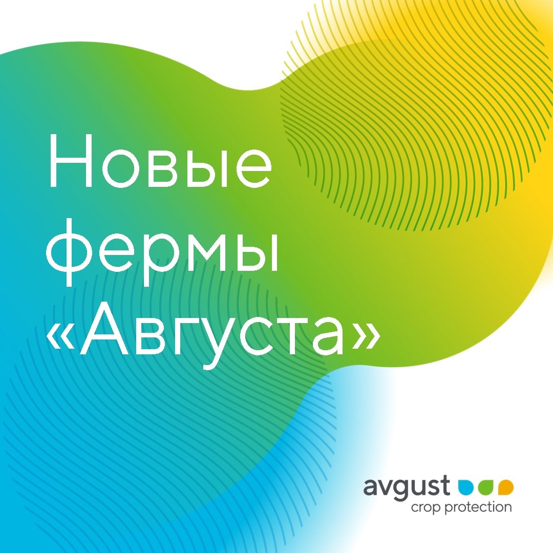 Блог компании Avgust