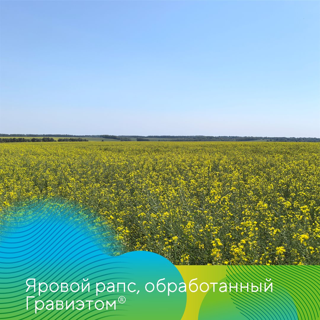Пост 29.09.2026