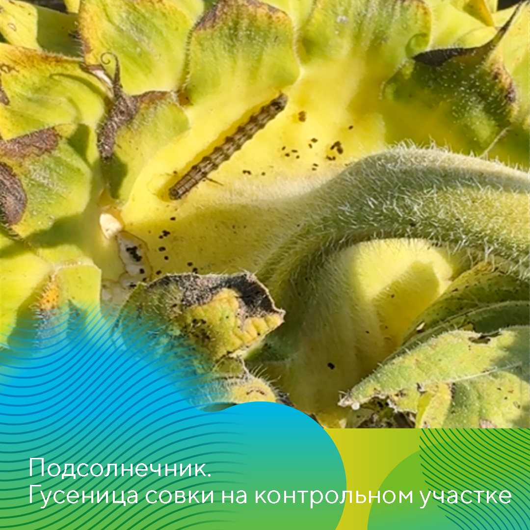 Пост 21.05.2026