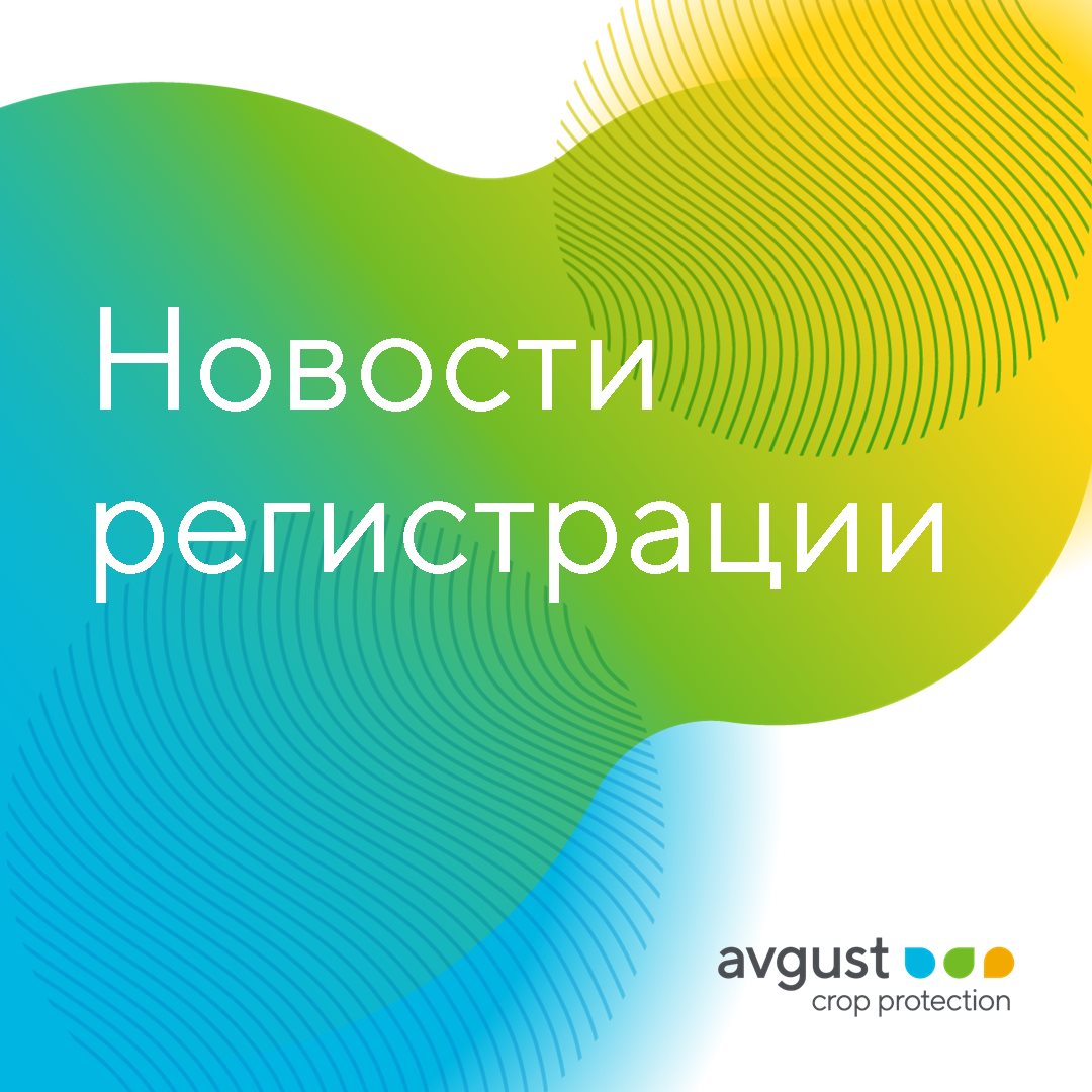 Блог компании Avgust