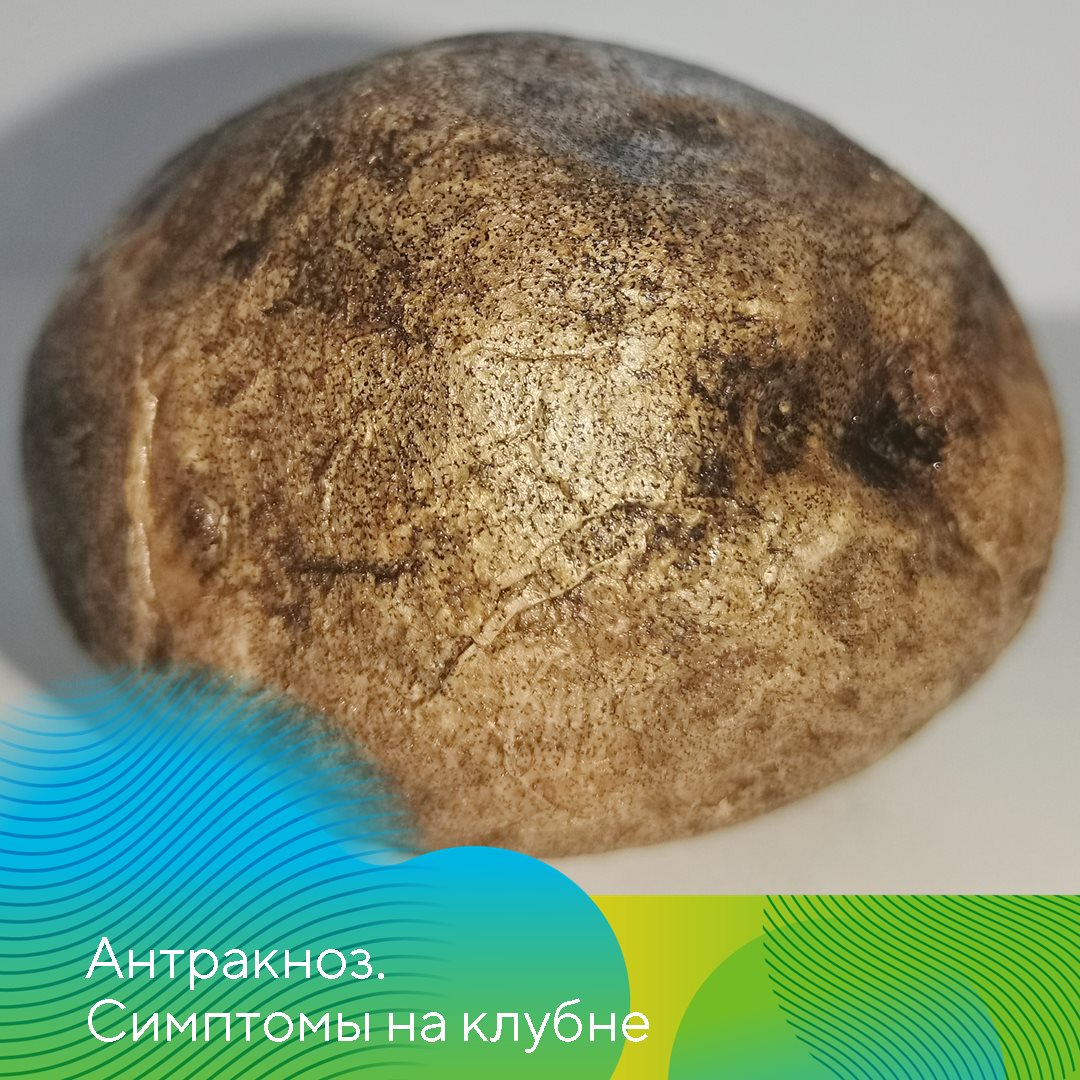Пост 29.05.2026
