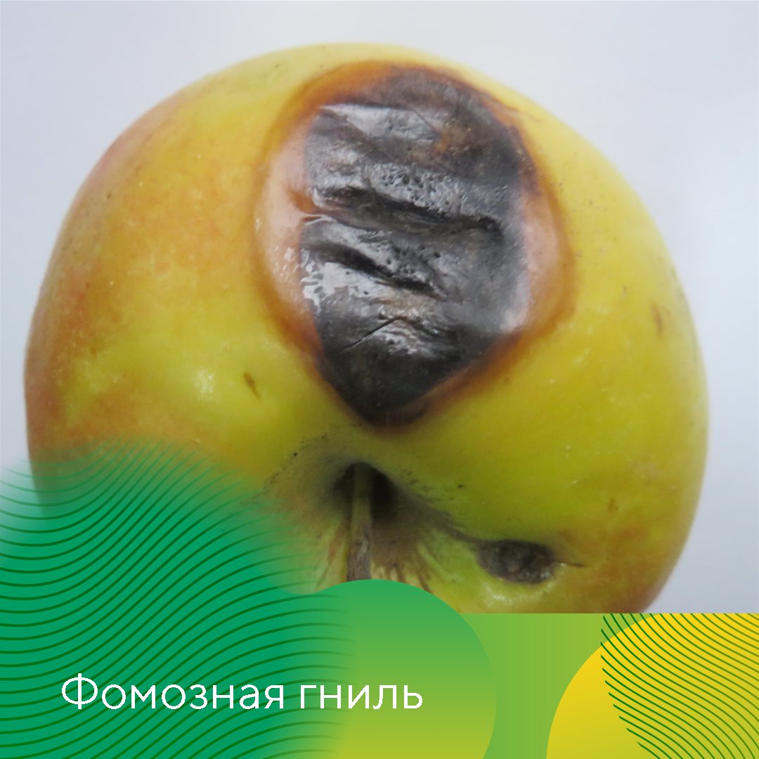 Пост 5.08.2026