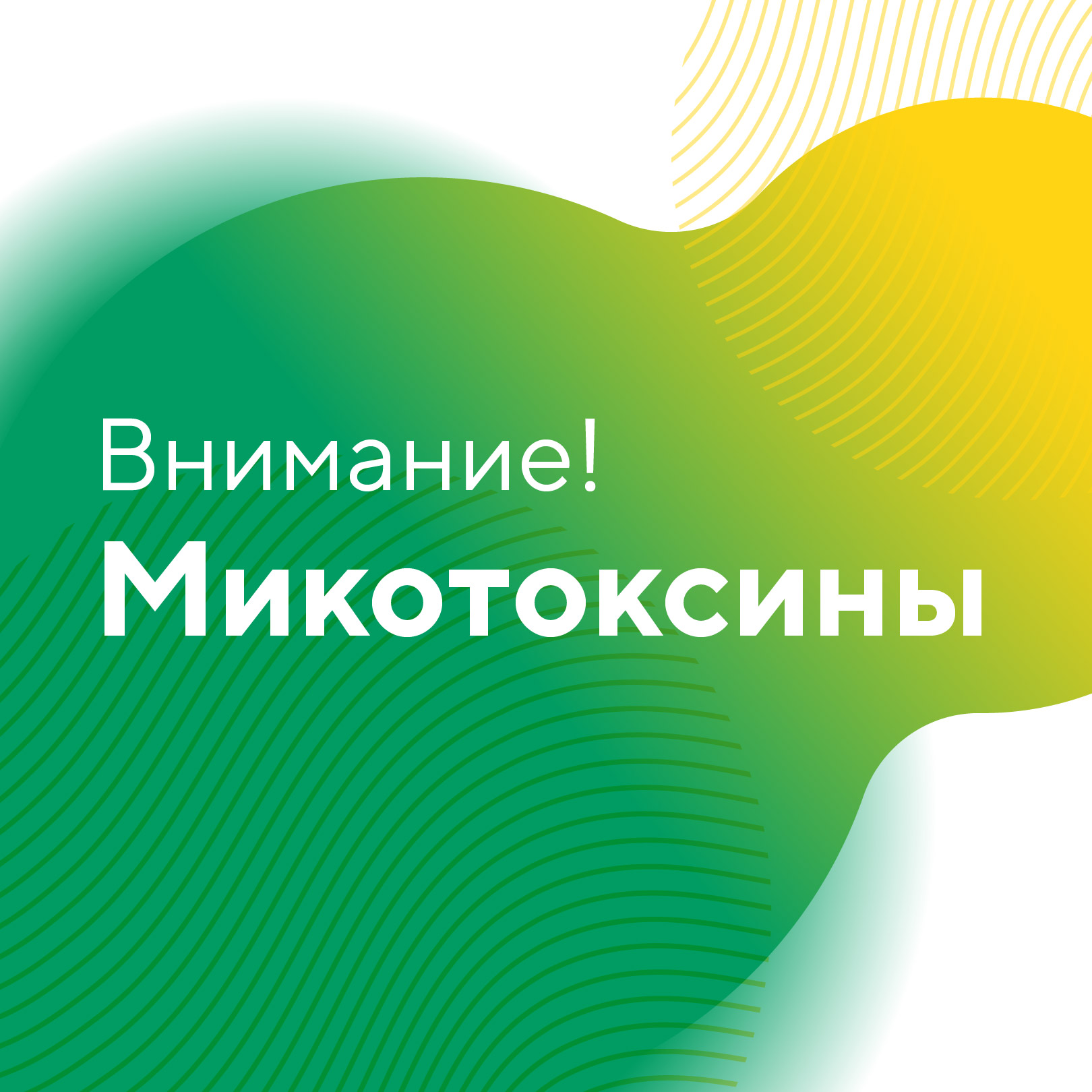 Пост 26.08.2026