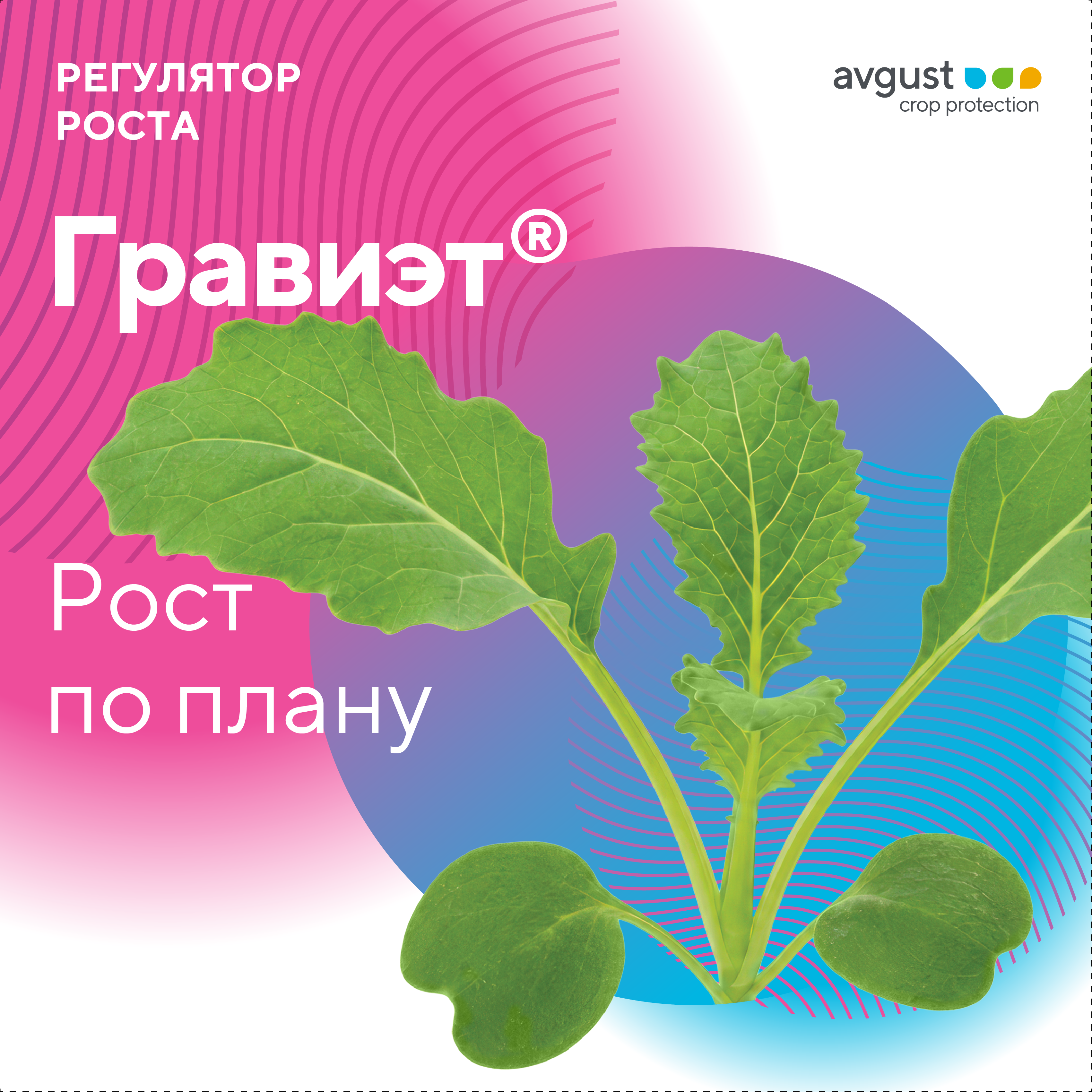 Пост 14.09.2026