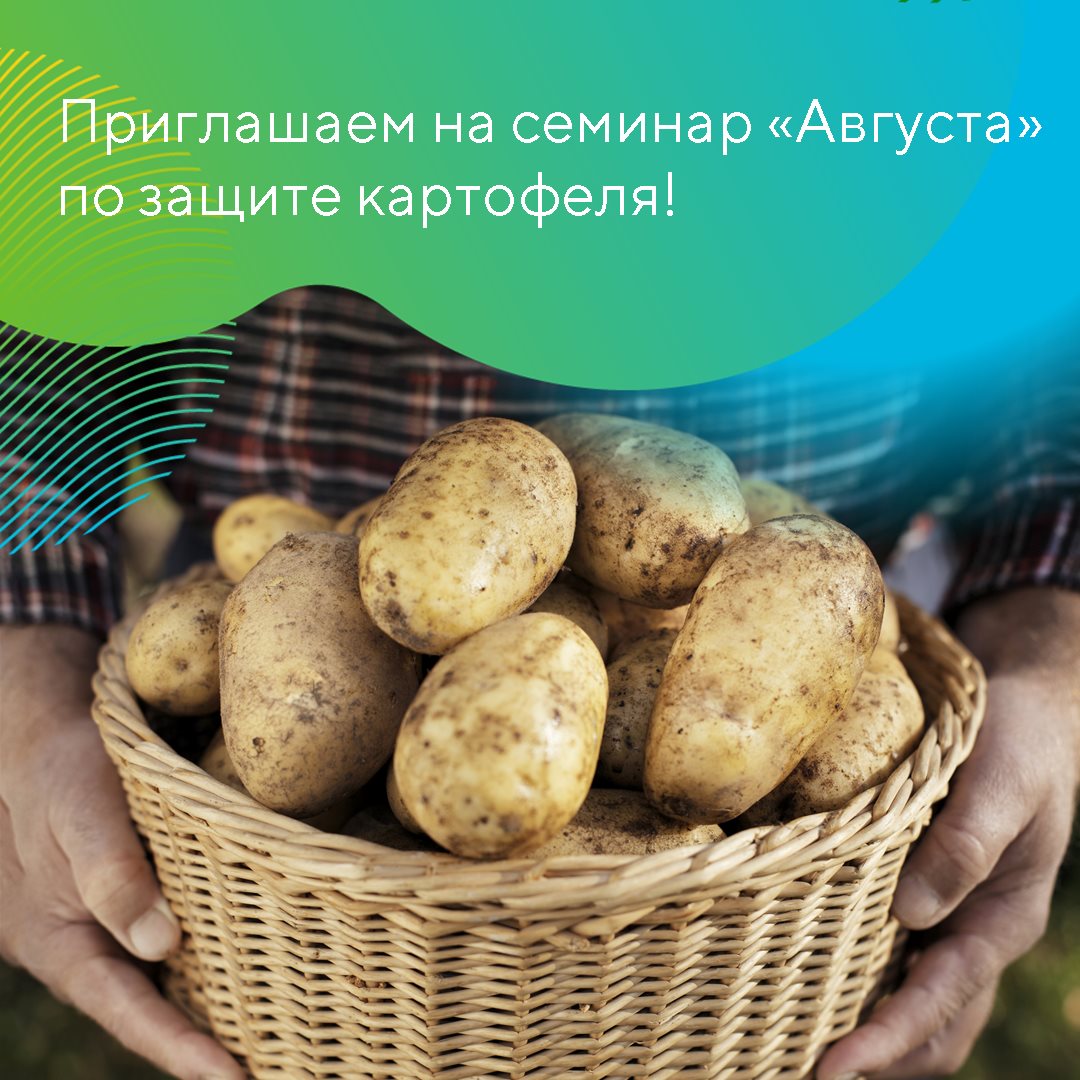 Пост 2.02.2026.1