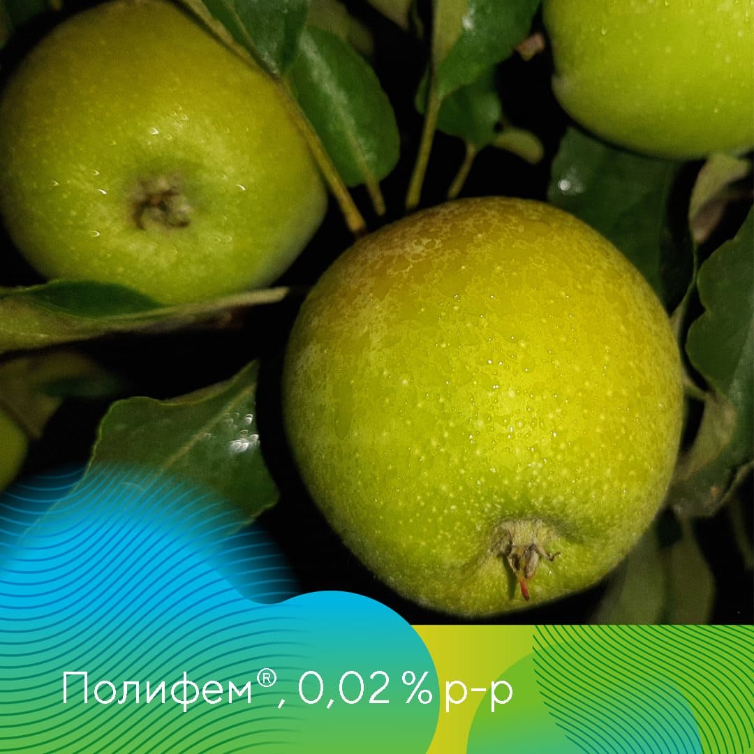 Адъювант Полифем® март 2023
