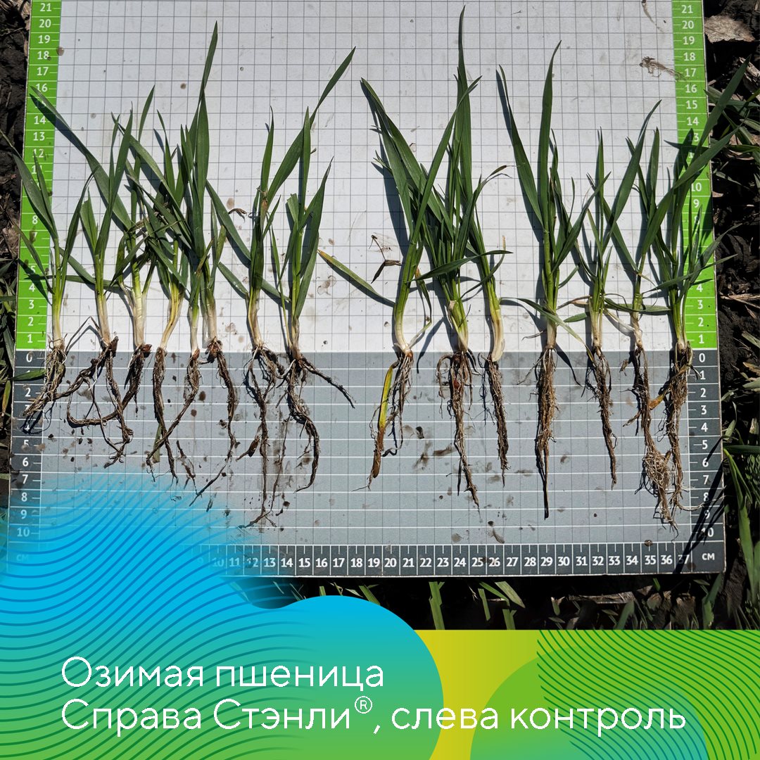 Пост 29.09.2026