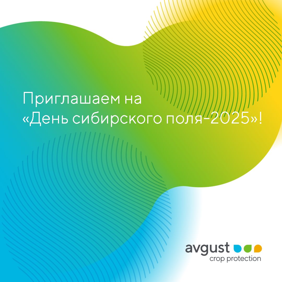 Пост 22.07.2025