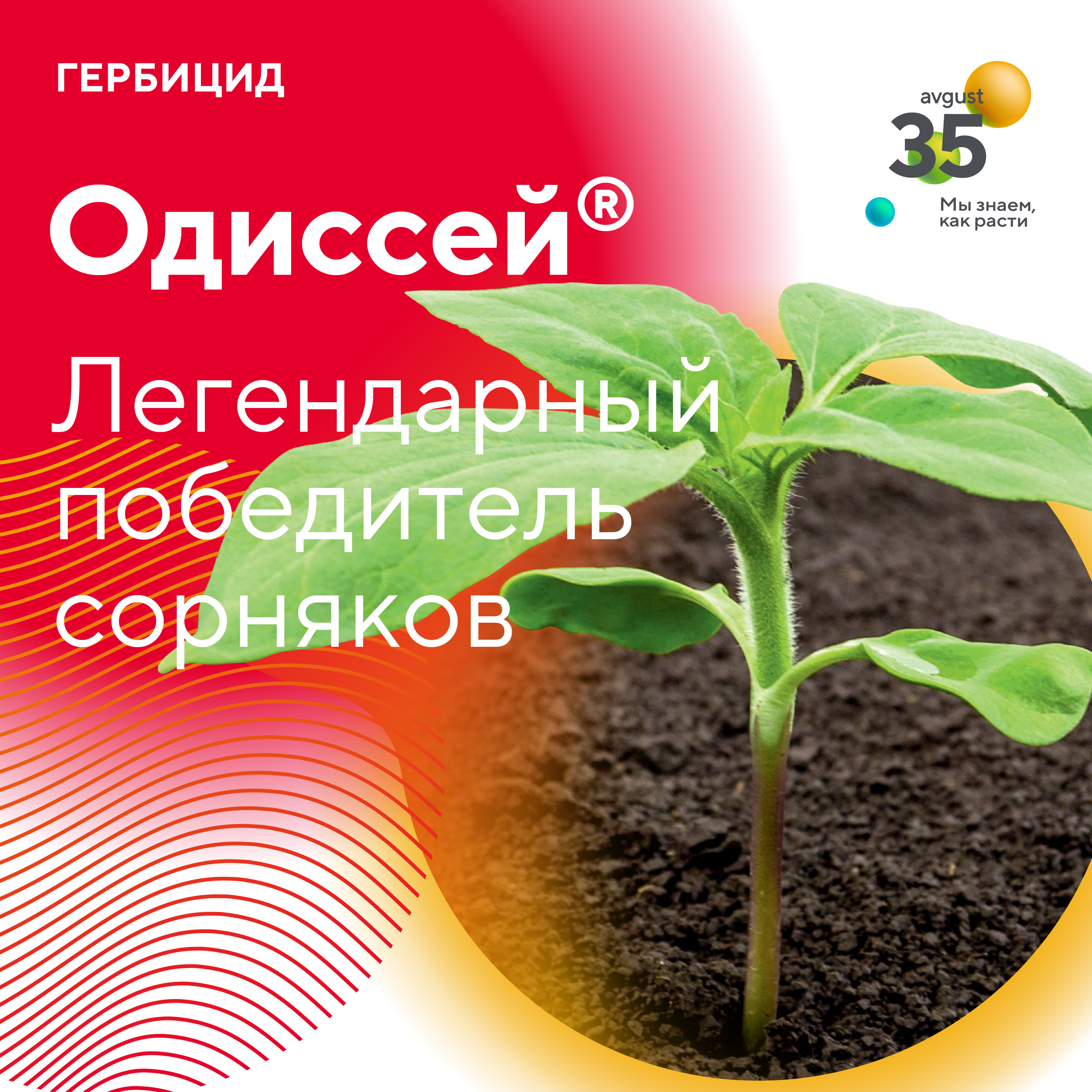 Пост 24.03.2025