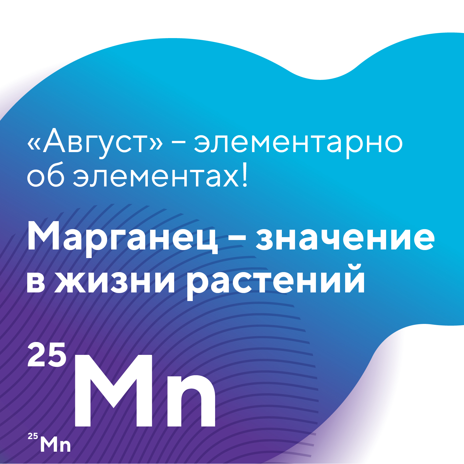 Пост 25.09.2026