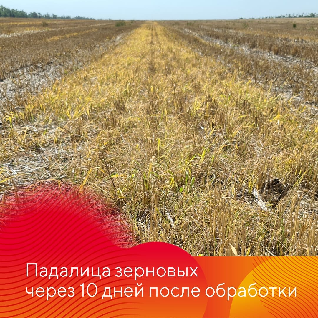 Менеджер-технолог представительства «Августа» в Ставрополе Владислав Панченко сентябрь 2022