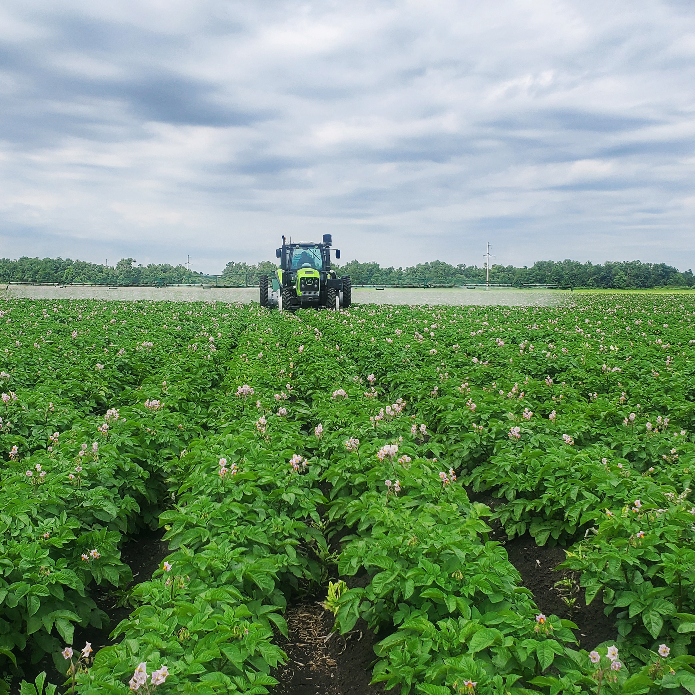 ООО Фирма «Хаммер»