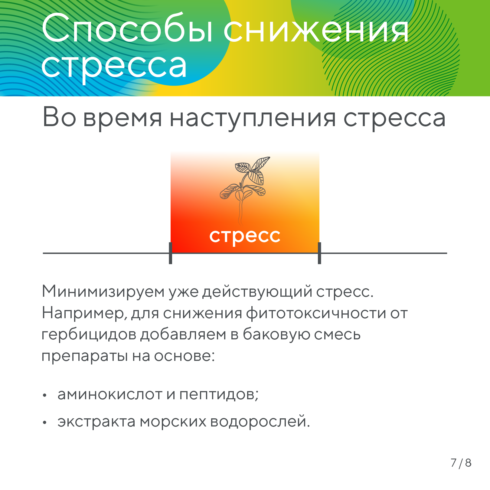 Пост 20.01.2026.1