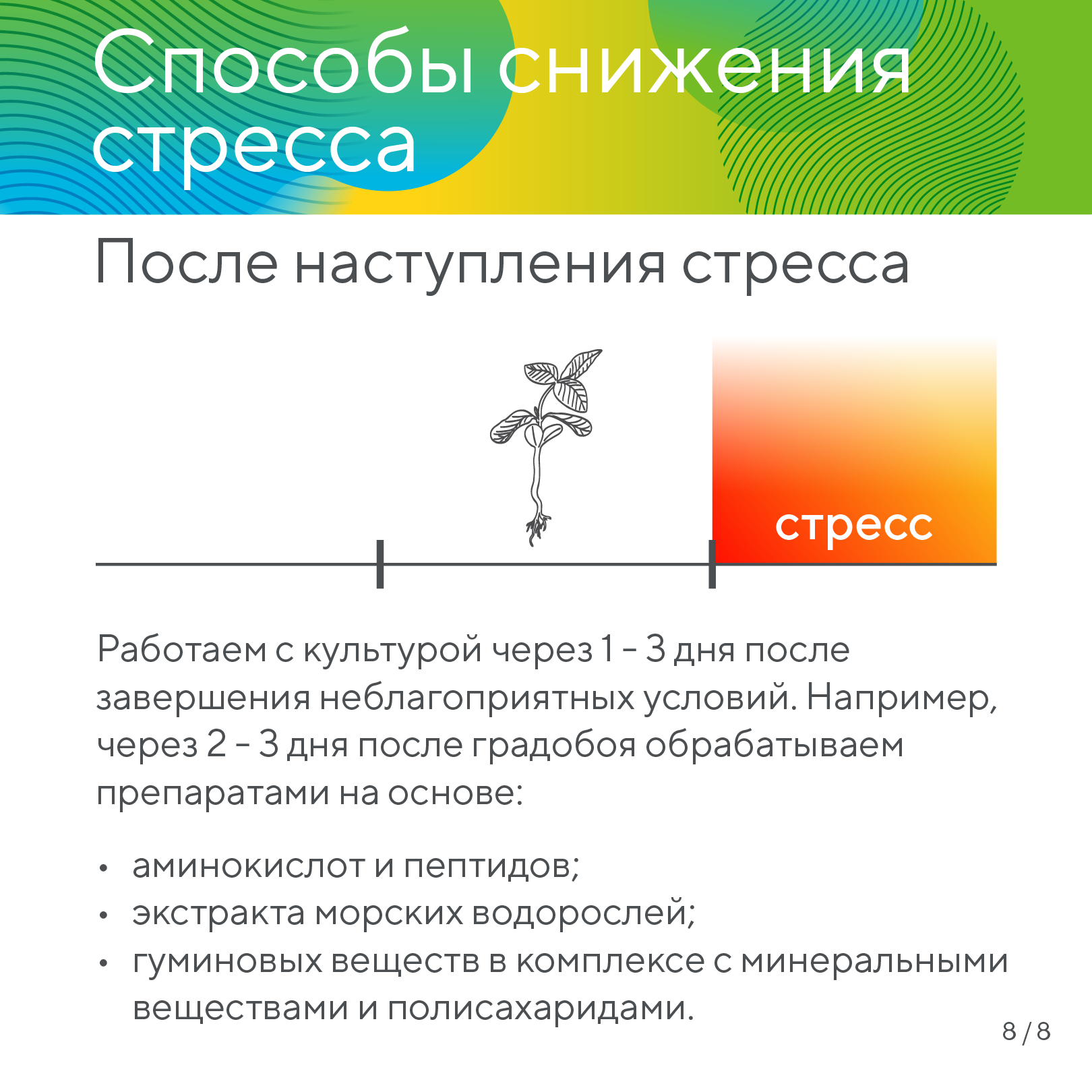 Пост 20.01.2026.1