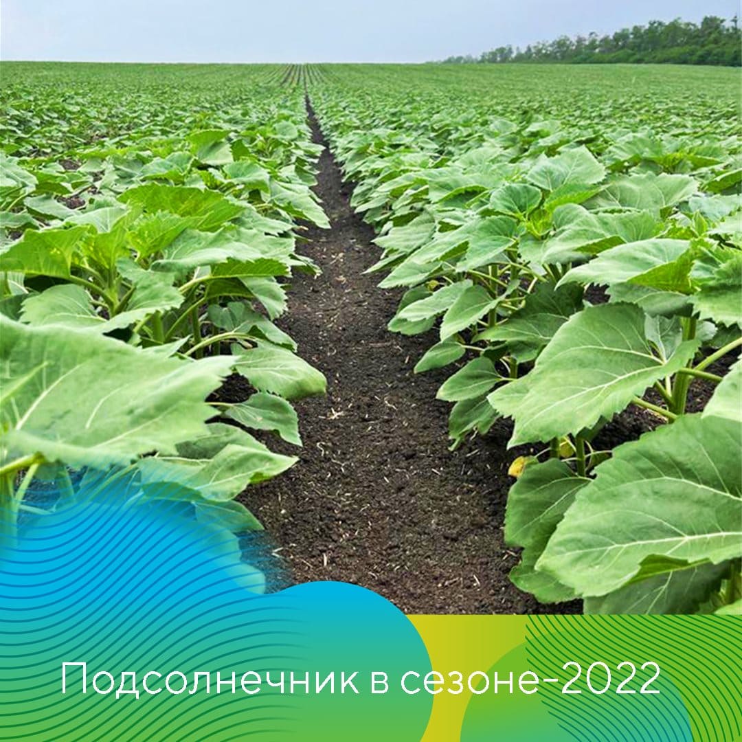 ООО НПК «АгроЛидер» 2022