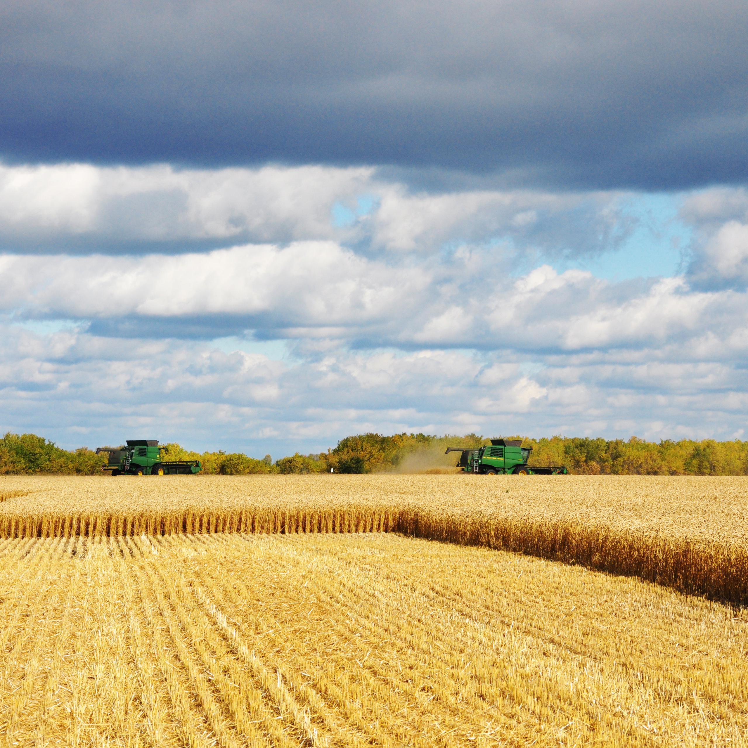 Сотрудничество с «Августом» в крупном агрохолдинге «Сибагро»