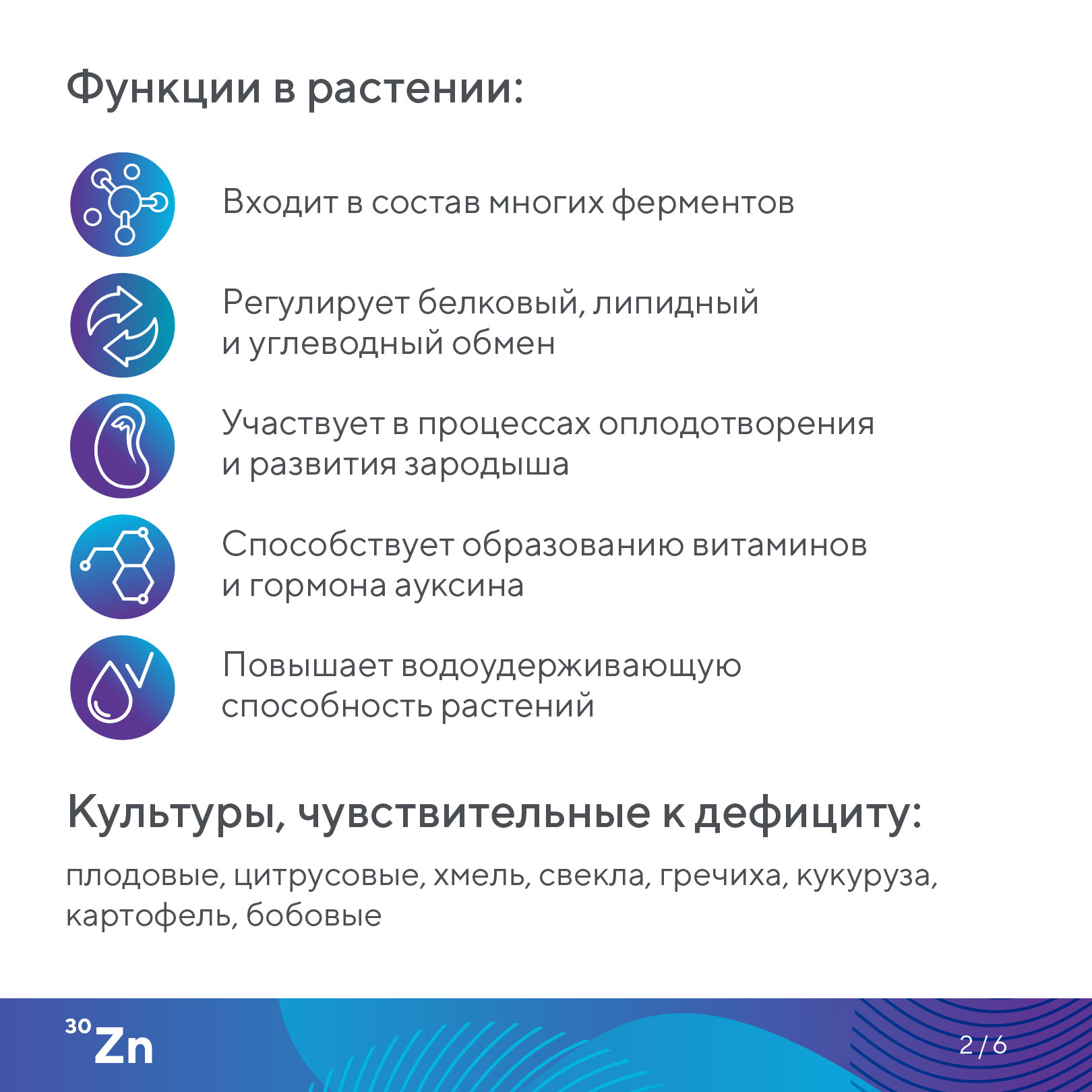 Пост 10.07.2026