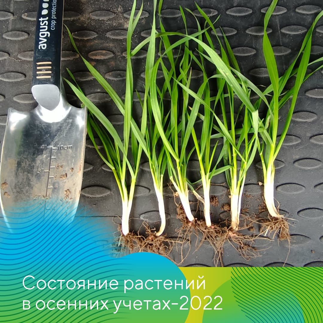 ООО НПК «АгроЛидер» 2022