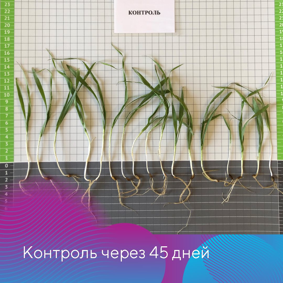 Стерлинг 21.02