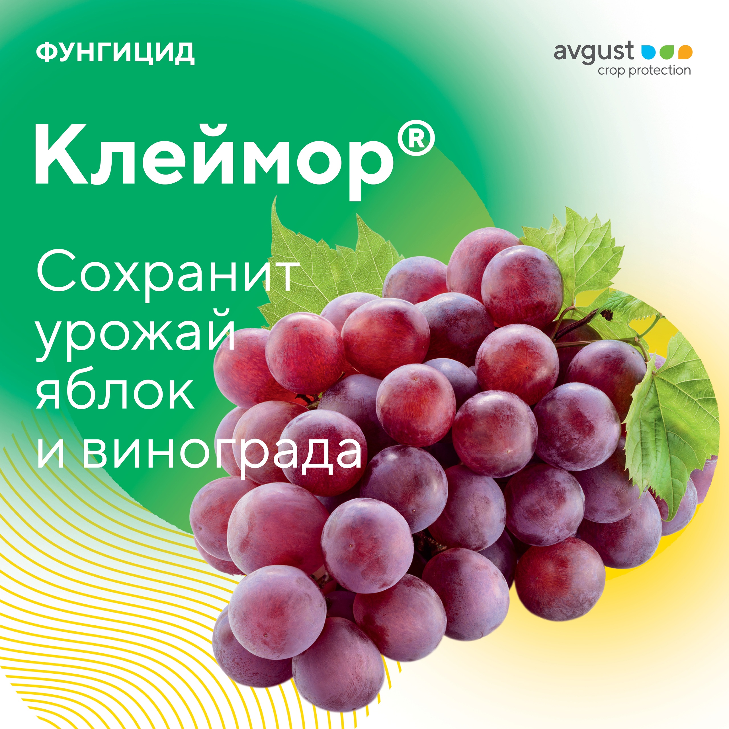 Клеймор® – фунгицид для защиты яблони и винограда.